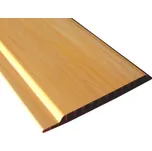 Plastová palubka Color P100 11 smrk