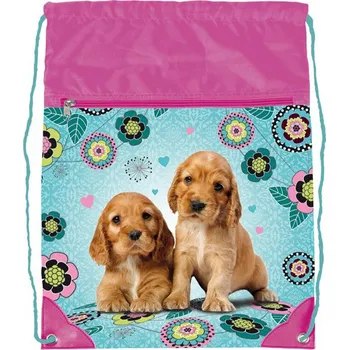 Stil Sáček na cvičky 44 x 32 cm, Friends