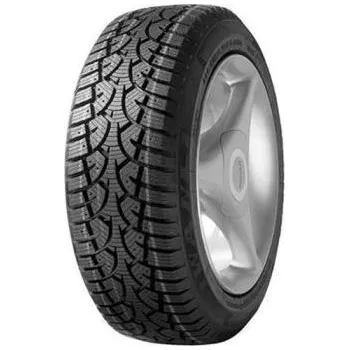 Wanli Winter Challenger 205/65 R16 107 R
