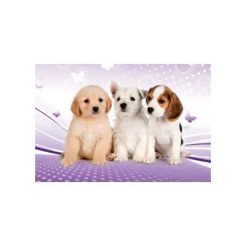 Stil Desky na číslice 25 x 18 cm, Puppies