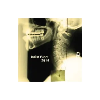 Česká hudba Indies Scope 2010 - Various Artists (MP3)
