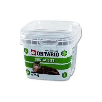 Pamlsek pro kočku Ontario Snack Bits Dental 75 g