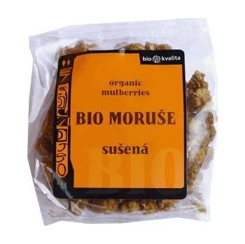 Sušené ovoce Moruše bílá 100 g bio BIONEBIO