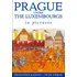 Praha lucemburksá v obrazech - František Kadlec