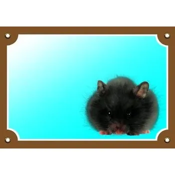 Barevná cedulka Tady bydlím já! Křeček