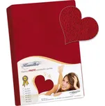 Bellatex froté prostěradlo Kamilka,…