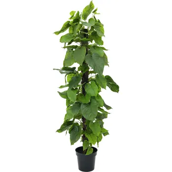 umělá květina Umělý strom Pothos - palmový kmen, 180cm