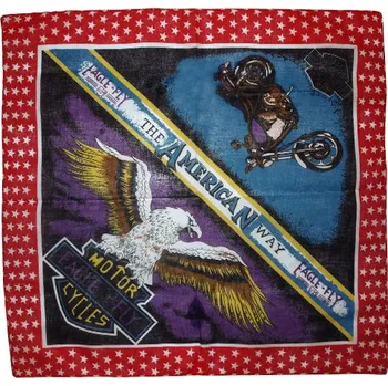 Motorcycles Eagle Fly šátek