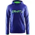 Pánská mikina Craft Logo Hood 