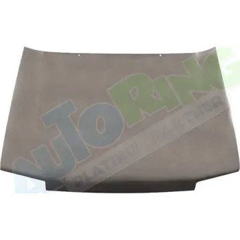 Kapota Kapota RENAULT 21 (K48,P48) 02.86-05.94 LA.0000.8674.96-41086 - DOPRAVA ZDARMA