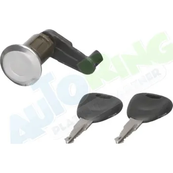 Autozámek Vložka zámku dveří RENAULT Megane i Scenic (xxA) 08.95-10.99 LP.0000.0858.12-87166 - DOPRAVA ZDARMA