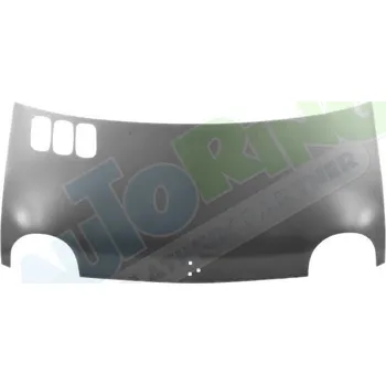 Kapota Kapota RENAULT Twingo 1 (C06) 1993-05.07 LA.0000.8675.74-40796 - DOPRAVA ZDARMA