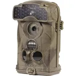 Ltl. Acorn 6310 MC CZ