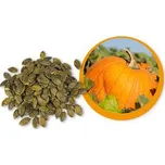 Lifefood dýňové semínko BIO 500 g