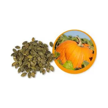 Lifefood dýňové semínko BIO 500 g