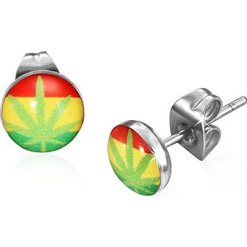 Náušnice Náušnice chirurgická ocel LEB278