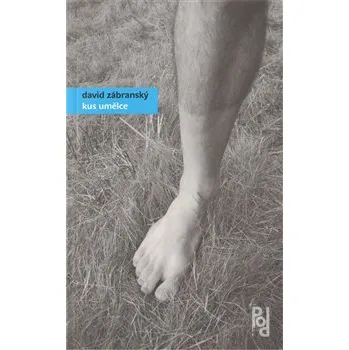 Kus umělce - David Zábranský Kus umělce - David Zábranský