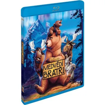 Blu-ray film Blu-ray Medvědí bratři