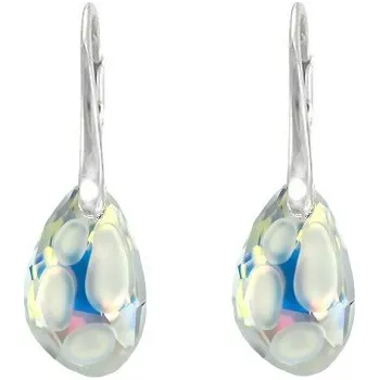 Náušnice Stříbrné náušnice Radiolarian AB (Dámské stříbrné náušnice)