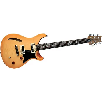 Elektrická kytara Paul Reed Smith SE Custom Semi-Hollow