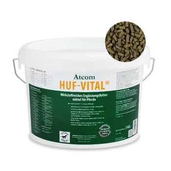 Atcom HUF - VITAL