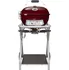 Zahradní gril Outdoorchef Ambri 480 G