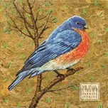 Muna - Markéta Irglová [CD]