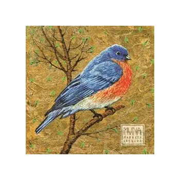 Česká hudba Muna - Markéta Irglová [CD]