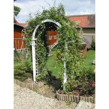 Pergola Zahradní Pergola L14 (Zahradní Pergola - Zahradní Pergola L14)
