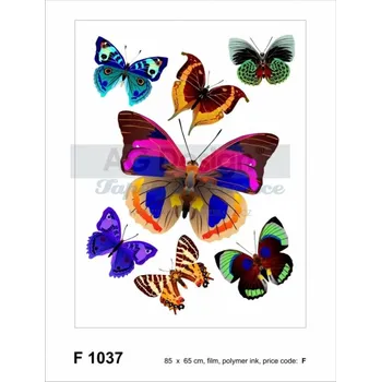 Samolepící dekorace Samolepicí dekorace (65x85cm) D-c-fix AGF01037