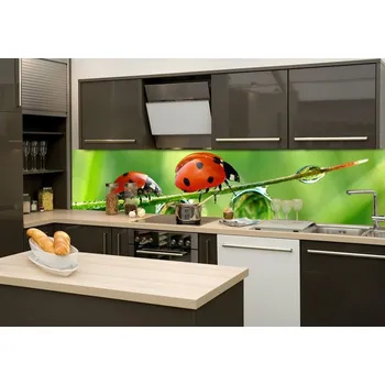 Fototapeta Samolepicí fototapeta do kuchyně beruška KI260-015 / Fototapety mezi kuchyňskou linku Dimex (260 x 60 cm)