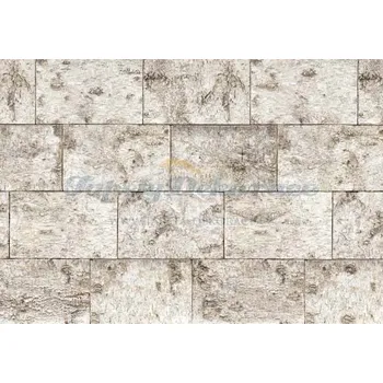 Fototapeta Obrazová tapeta na zeď 8-dílné Björk 8-740 Komar (368 x 254 cm)