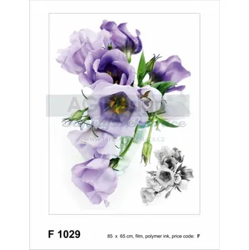 Samolepící dekorace Samolepicí dekorace (65x85cm) D-c-fix AGF01029