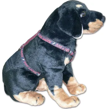 Postroj pro psa Postroj Jeans S 1,5 x 30 - 50 cm