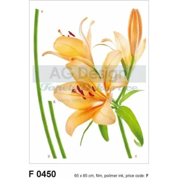 Samolepící dekorace Samolepicí dekorace (65x85cm) na zeď D-c-fix Spirit AGF00450