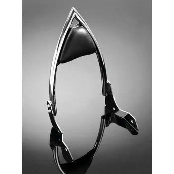 Motodoplněk Highway Hawk Opěrka Highway Hawk ARCH pro motocykly HONDA VT750S, chrom (sada) Chrom