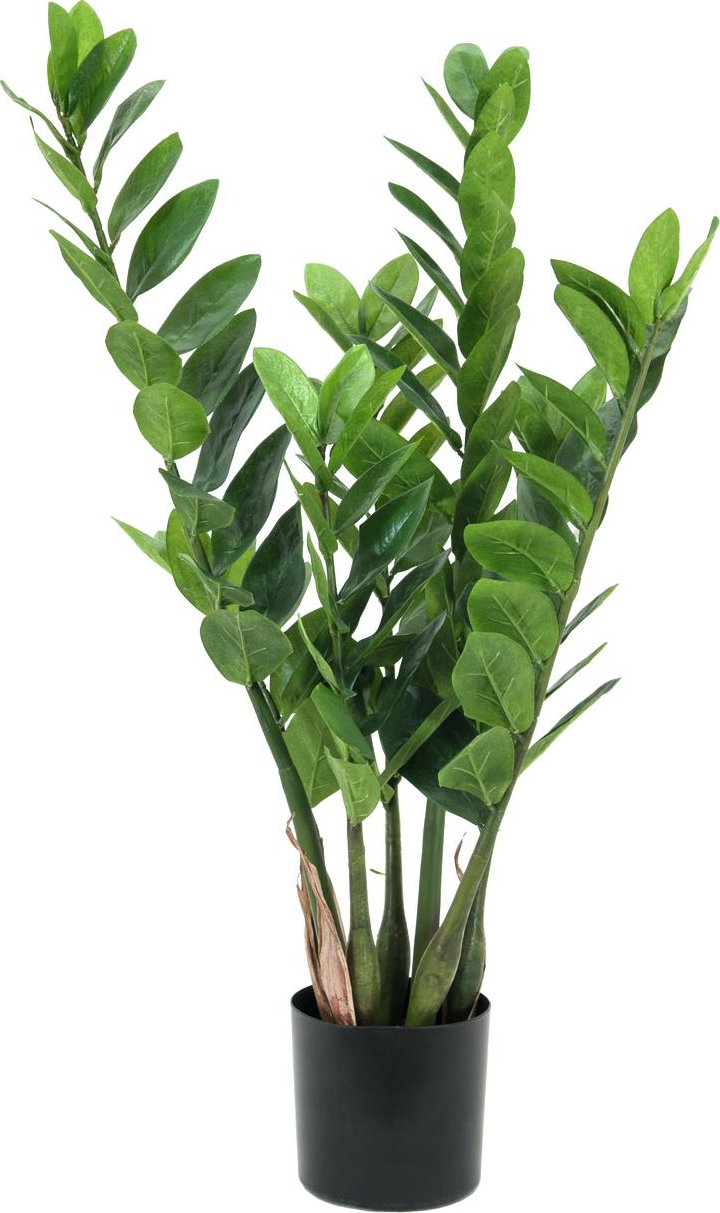 Umělá květina Zamiifolia, 70cm