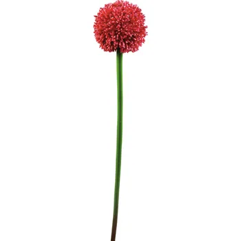 umělá květina Allium, červená, 55cm