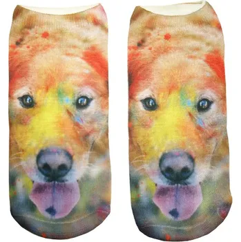 Pánské ponožky Ponožky Colorful Dog