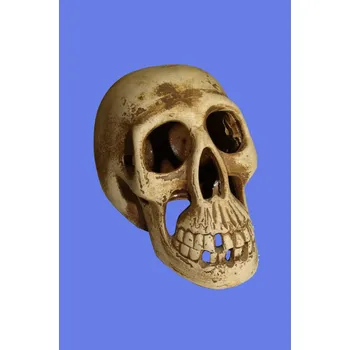 Svícen Skull svícen