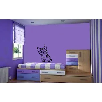 samolepka Marcela Krajčíková.Samolepky na zeď - Kočička 51 x 60 cm (Marcela Krajčíková.Samolepky na zeď - Kočička 51 x 60 cm )