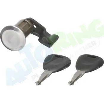 Autozámek Vložka zámku dveří RENAULT Clio 2 (B0,1,2) 08.98-05.01 LP.0000.0860.53-86053 - DOPRAVA ZDARMA