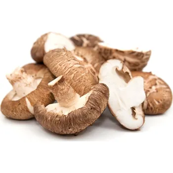 Přírodní produkt Shitake 50 g