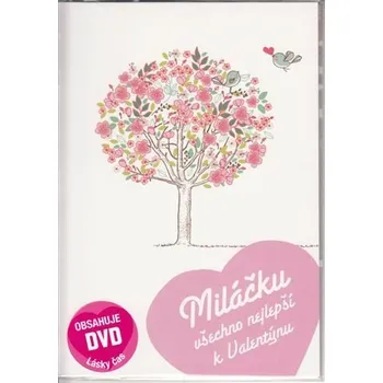 Valentýnské přání - Lásky čas - DVD