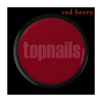 Umělé nehty topnails - barevný UV gel RED BERRY 5g (color gel)