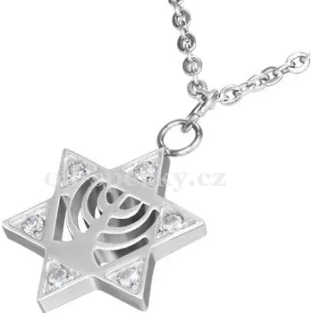 Náhrdelník Náhrdelník z chirurgické oceli CAT467 (Náhrdelník z chirurgické oceli CAT467)