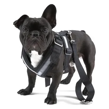 Postroj pro psa Bezpečnostní pás pro psy - "L" (000019409C)