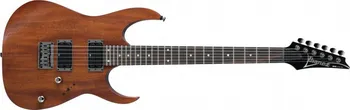 elektrická kytara Ibanez RG421 MOL