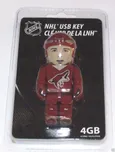 Inglasco / Sherwood USB flash disk Arizona Coyotes 4GB
