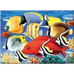 Malování podle čísel - Tropické ryby 40…